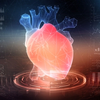 artificial heart valve
