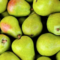 fruit