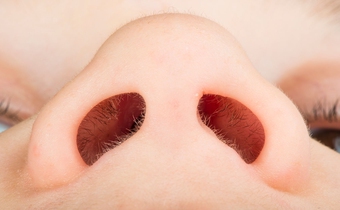 nostril