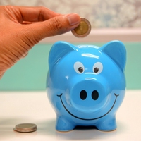 savings goal