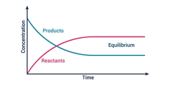 equilibrium
