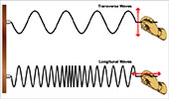 transverse