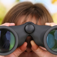 observation