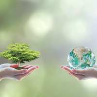 environment