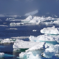 polar regions