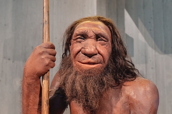 neanderthal