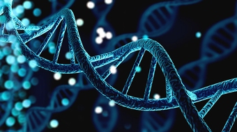 genetics