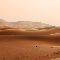 desert climate