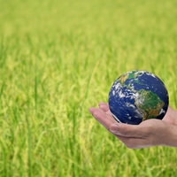 environment