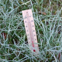 thermometer