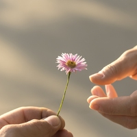 give