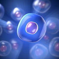 cell