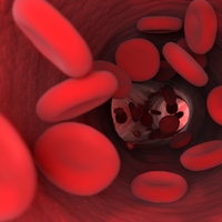 red blood cell