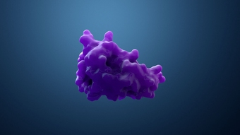 enzyme