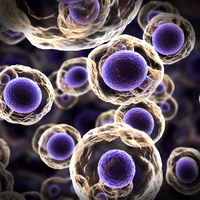 cell