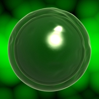 cell