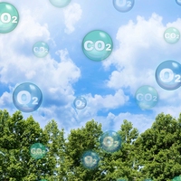 carbon dioxide