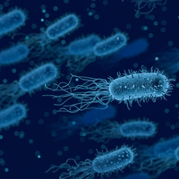 microorganism
