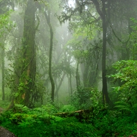 biodiversity