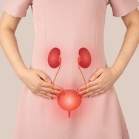 bladder
