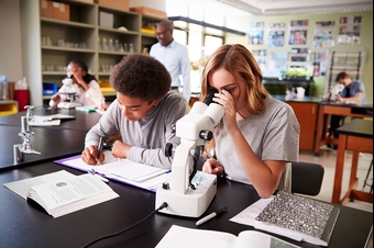 natural sciences