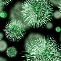 germ
