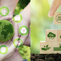 sustainability