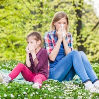 allergy