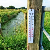 temperature