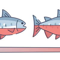 bioaccumulation