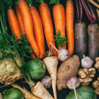 nutrients