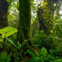 ecosystem