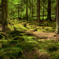 biodiversity