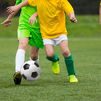 voluntary muscles