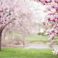 Spring