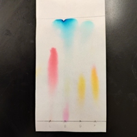 stationary phase