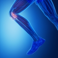 ligament