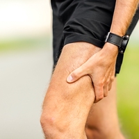 hamstring muscle