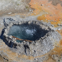 extremophile