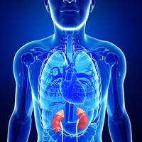 type 1 diabetes