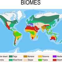 distribution