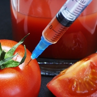genetic modification