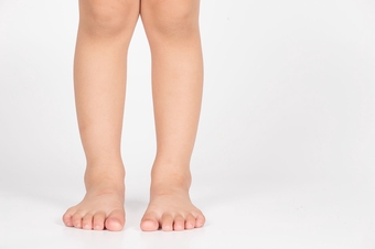 leg