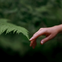 environment