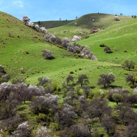 slope
