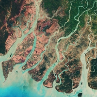delta