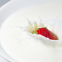 probiotics