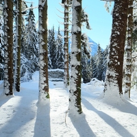 雪