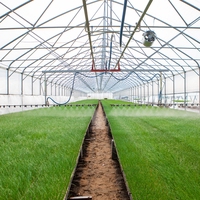 monoculture