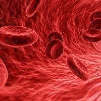 red blood cell